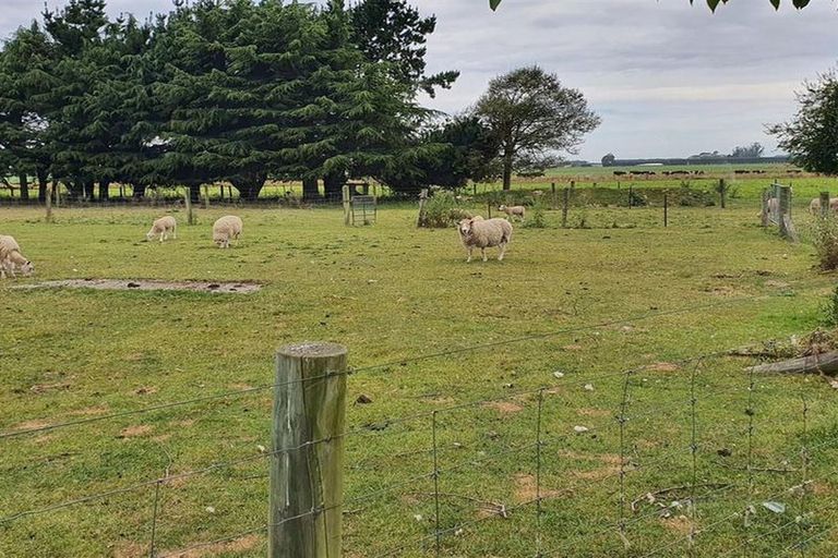 Photo of property in 239 Old Ferry Road, Morven, Waimate, 7979