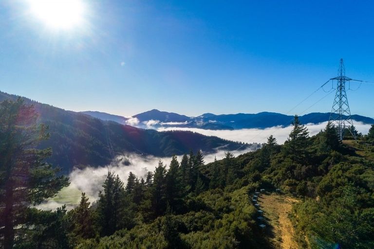 Photo of property in 2464 Port Underwood Road, Port Underwood, Picton, 7281