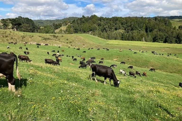 Photo of property in 755 Limeworks Loop Road, Karamu, Hamilton, 3285