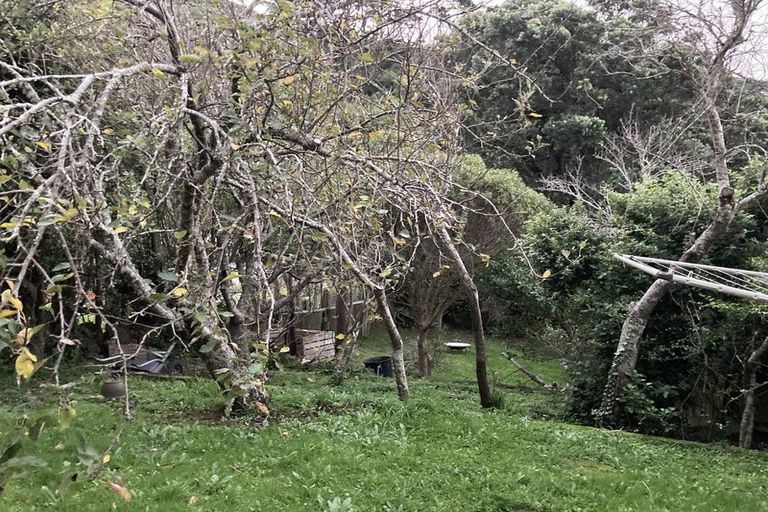 Photo of property in 42 Rhine Street, Island Bay, Wellington, 6023