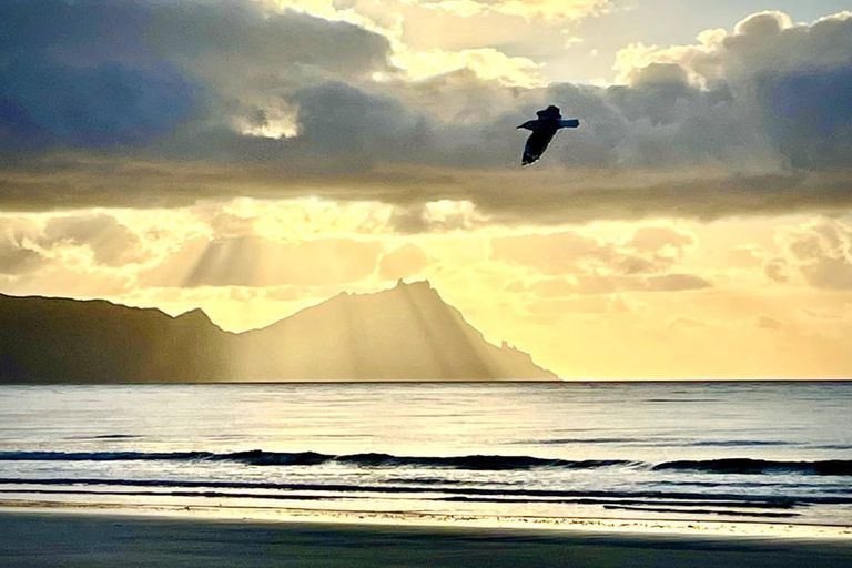 Photo of property in 14 Surfside Lane, Ruakaka, 0116