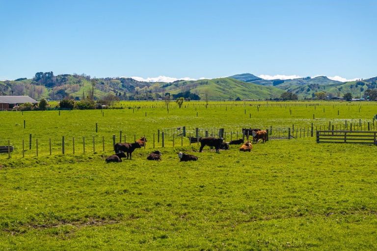 Photo of property in 211 Castlepoint Road, Te Ore Ore, Masterton, 5886