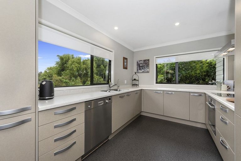 Photo of property in 137a Clarkin Road, Fairfield, Hamilton, 3214