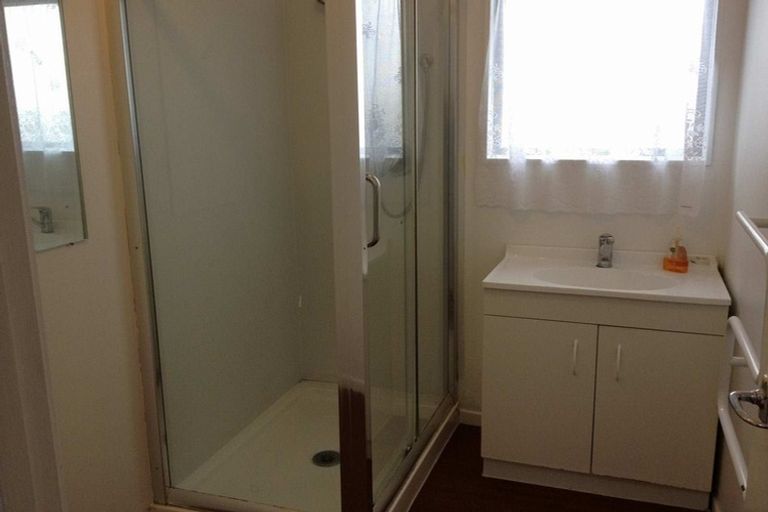 Photo of property in 46 Barneys Farm Road, Clendon Park, Auckland, 2103