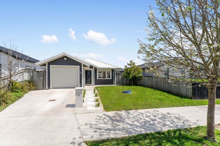 Photo of property in 3 Kapia Street, Pukekohe, 2120