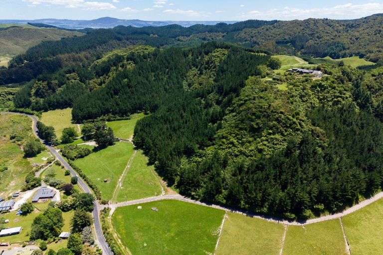 Photo of property in 171 Millar Road, Lake Okareka, Rotorua, 3076