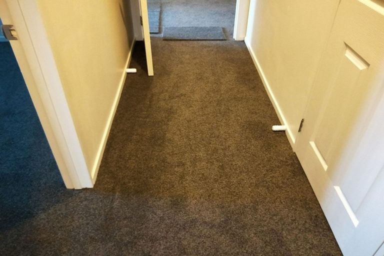 Photo of property in 101 Barrington Drive, Huntington, Hamilton, 3210