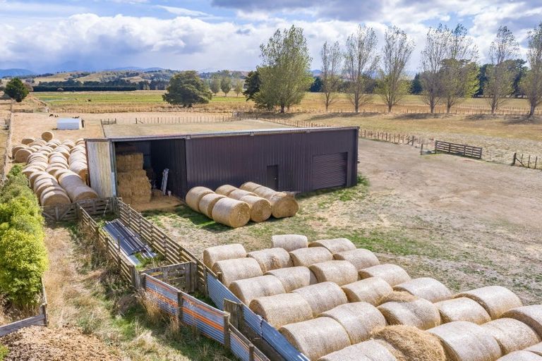 Photo of property in 85 Budd Road, Upper Plain, Masterton, 5888