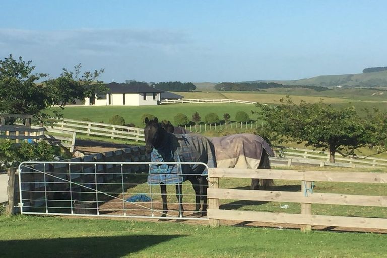 Photo of property in 109 Mimiha Ridge Road, Matata, Whakatane, 3194