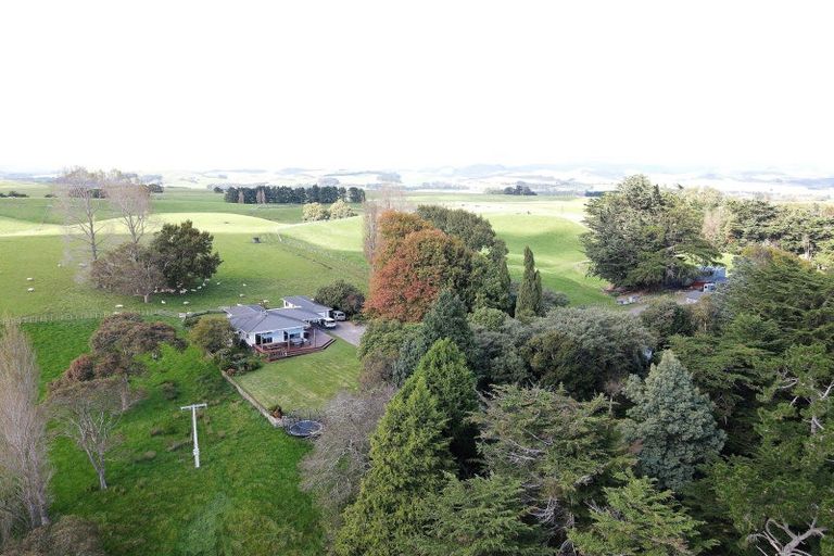 Photo of property in 180 Tipapakuku Road, Dannevirke, 4930