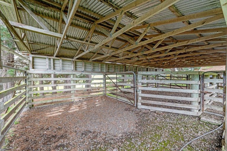 Photo of property in 245 Halcombe Road, Feilding, 4775