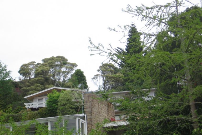Photo of property in 28 Wood Street, Paeroa, 3600