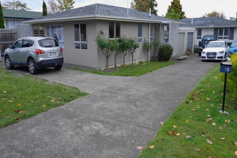 Photo of property in 1a George Place, Havelock North, 4130