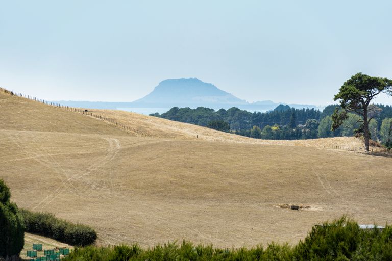 Photo of property in 13c Sagewood Road, Whakamarama, Tauranga, 3180