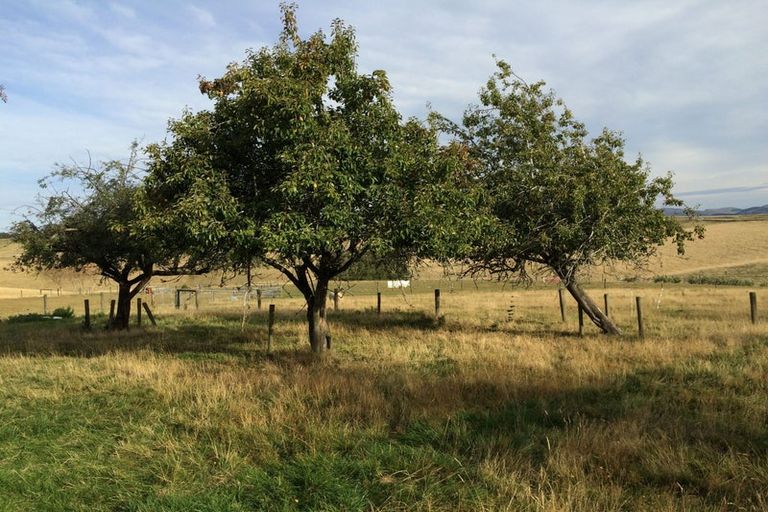 Photo of property in 86 Totara Island Road, Clifton, Balclutha, 9273