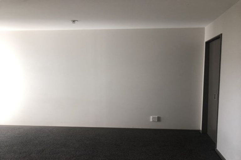 Photo of property in Dual Apartments, 301/142 Vivian Street, Te Aro, Wellington, 6011