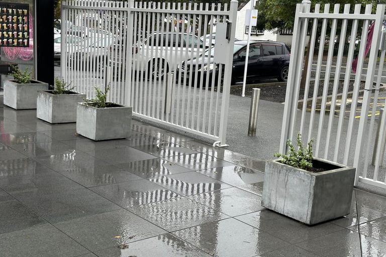 Photo of property in 304/24 Library Lane, Albany, Auckland, 0632