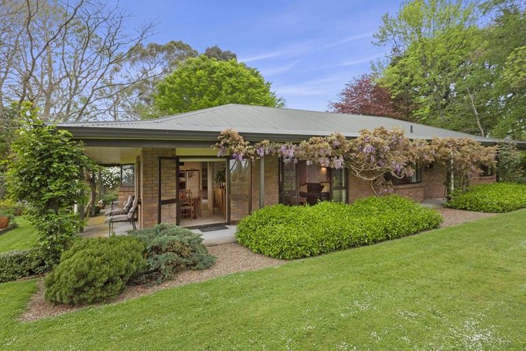 Photo of property in 253 Kaipaki Road, Ohaupo, 3881