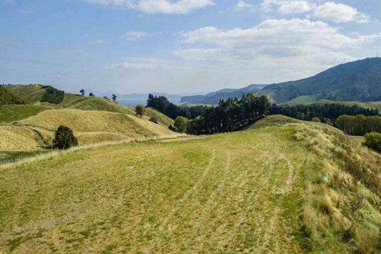 Photo of property in 10 Olsen Place, Kinloch, 3385