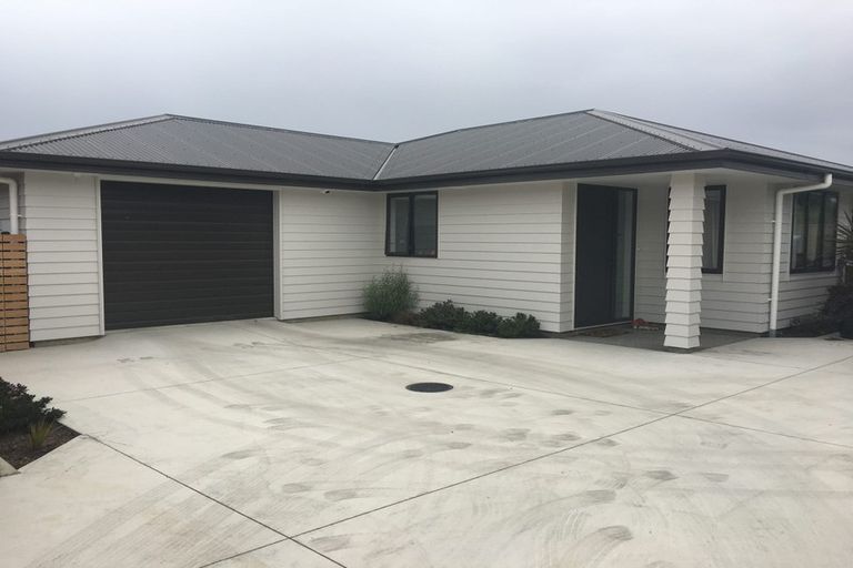 Photo of property in 11a Newhaven Place, Roslyn, Palmerston North, 4414