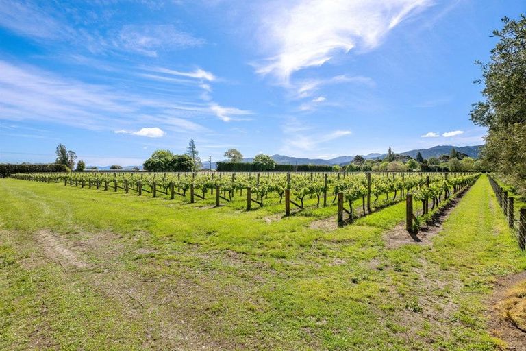 Photo of property in 158 Murrays Road, Spring Creek, Blenheim, 7273