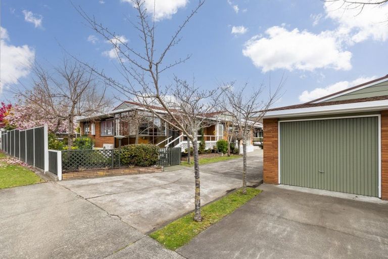 Photo of property in 1/11 Mchardy Street, Havelock North, 4130