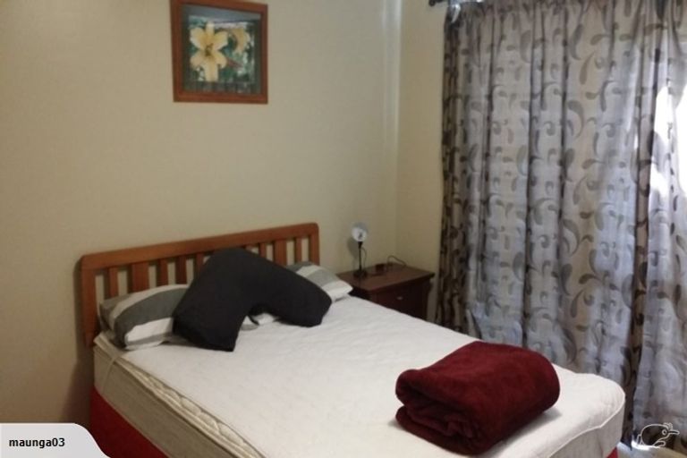 Photo of property in 1212 Kaipaki Road, Cambridge, 3495