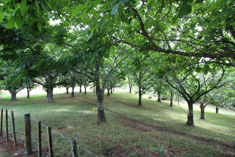 Photo of property in 196 Wiltsdown Road, Lichfield, Putaruru, 3482