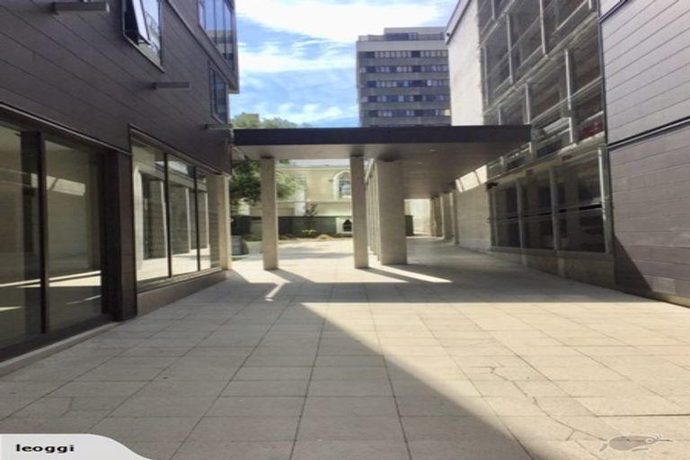 Photo of property in Vsp South, 703/166 Victoria Street, Te Aro, Wellington, 6011
