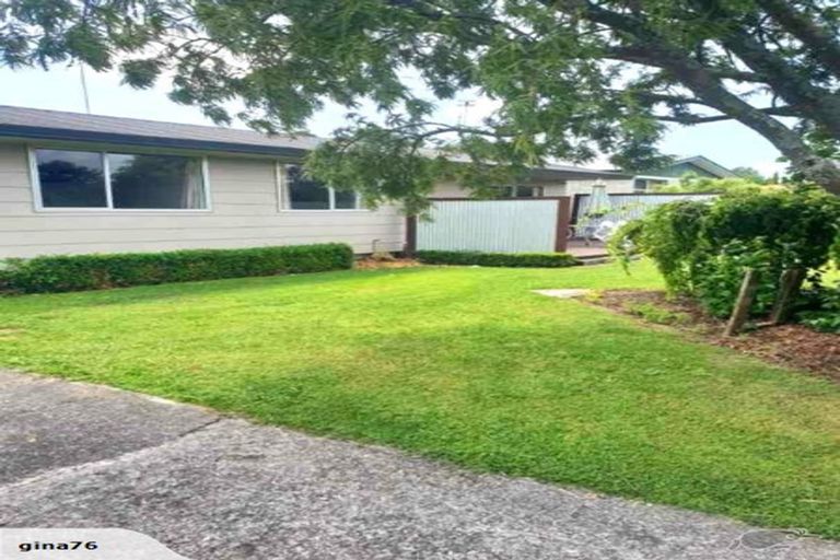 Photo of property in 25 Sheffield Street, Matamata, 3400