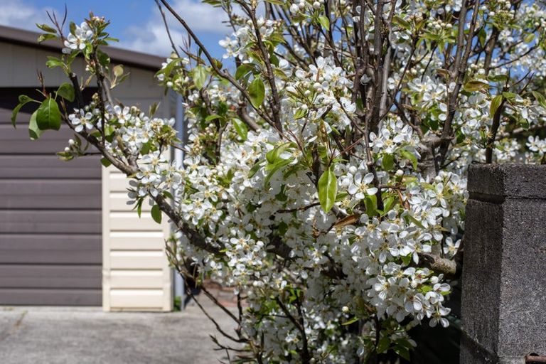 Photo of property in 32 Taipari Avenue, Raglan, 3225