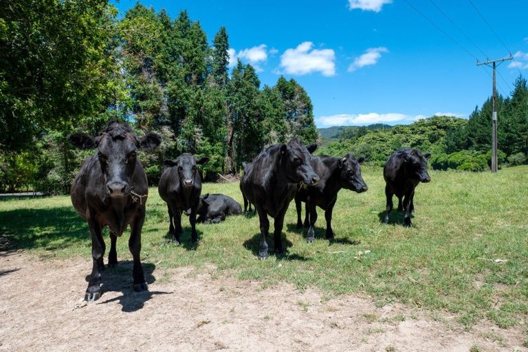 Photo of property in 171 Millar Road, Lake Okareka, Rotorua, 3076