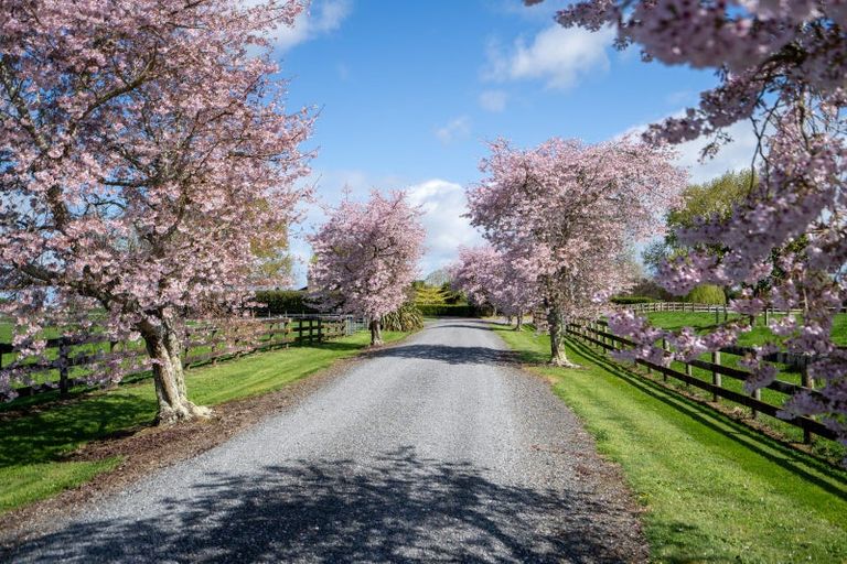 Photo of property in 6/103 Maungakawa Road, Cambridge, 3496