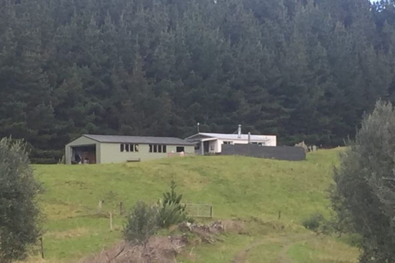 Photo of property in 4560 Pouto Road, Pouto, Te Kopuru, 0391