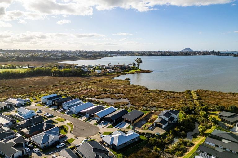 Photo of property in 43 Hinaki Street, Poike, Tauranga, 3112