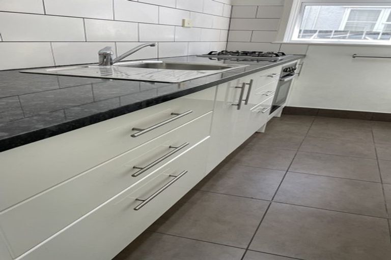 Photo of property in 91 Tasman Street, Mount Cook, Wellington, 6021