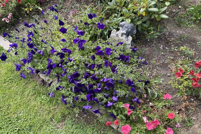 Photo of property in 126 Mcquarrie Street, Kingswell, Invercargill, 9812