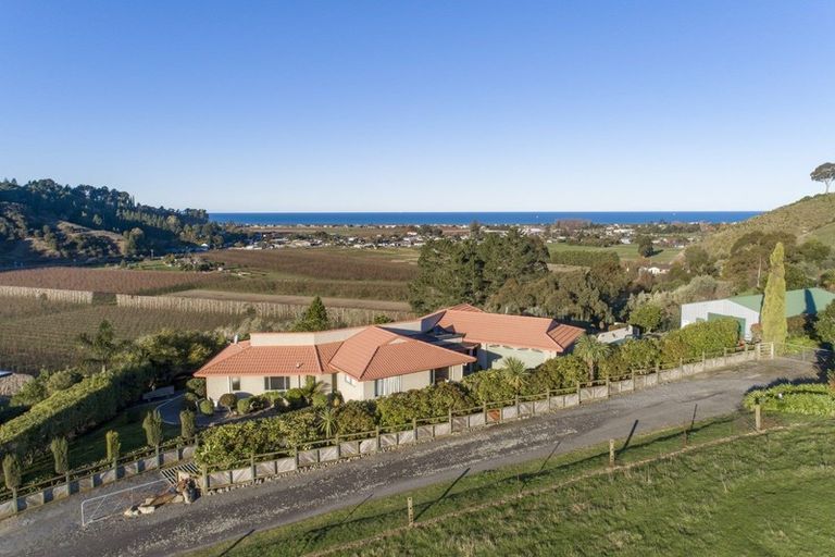 Photo of property in 87 Hill Road, Bay View, Napier, 4182