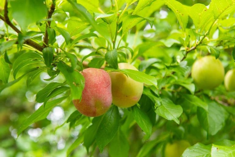 Photo of property in 79b Curtis Road, Rawene, Kaikohe, 0473