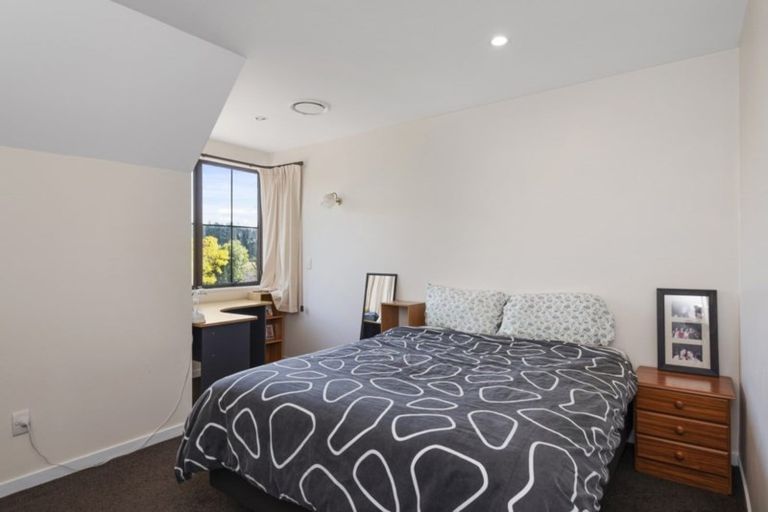 Photo of property in 91 Hodgens Road, Prebbleton, Christchurch, 7676