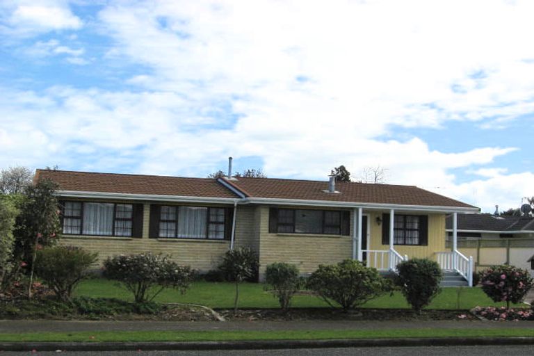 Photo of property in 29 Rimu Street, Levin, 5510