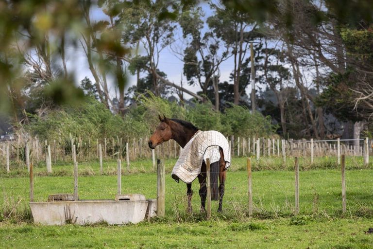 Photo of property in 102c Clark And Denize Road, Pukekawa, Tuakau, 2696