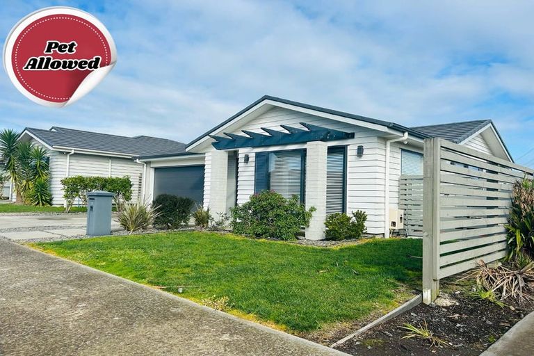 Photo of property in 38 Gum Spear Road, Takanini, 2112