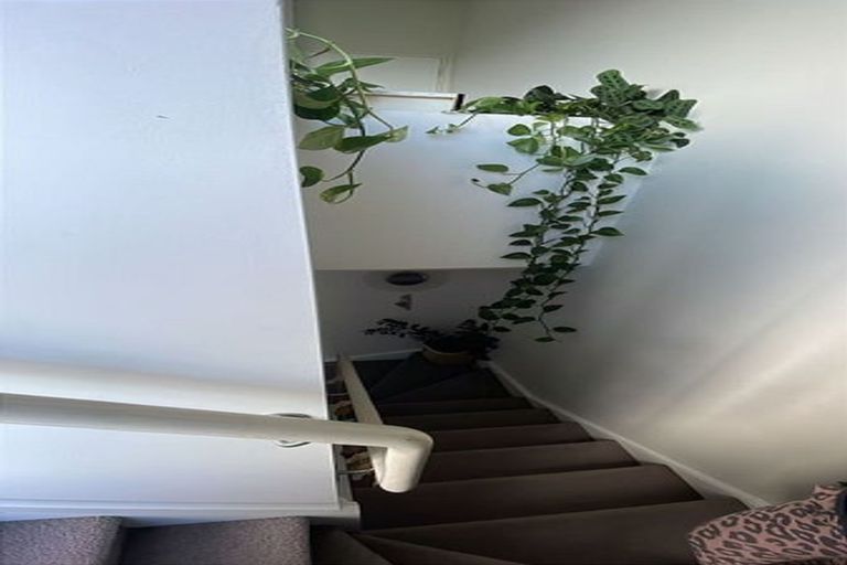 Photo of property in 31 Lemon Tree Lane, Flat Bush, Auckland, 2019