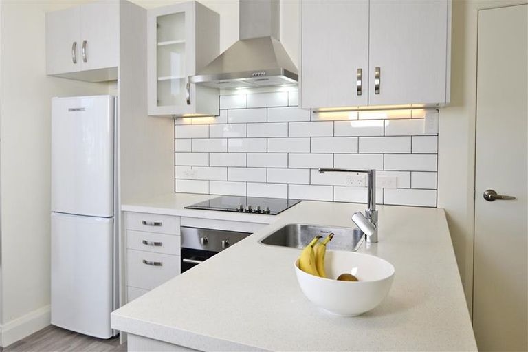 Photo of property in 345 South Road, Caversham, Dunedin, 9012