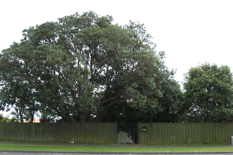 Photo of property in 131 Parklands Avenue, Bell Block, New Plymouth, 4312