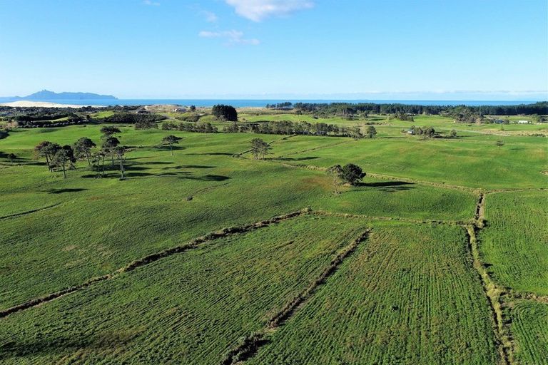 Photo of property in 213 Black Swamp Road, Mangawhai, Wellsford, 0975