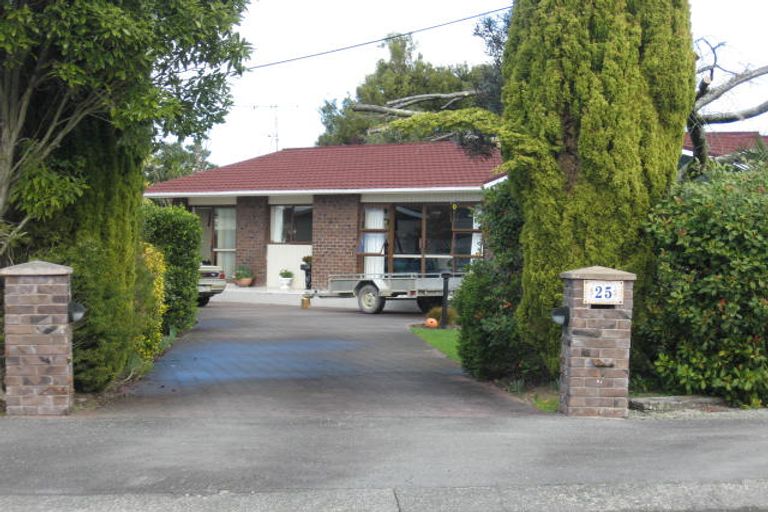 Photo of property in 25 Hillcrest Street, Solway, Masterton, 5810