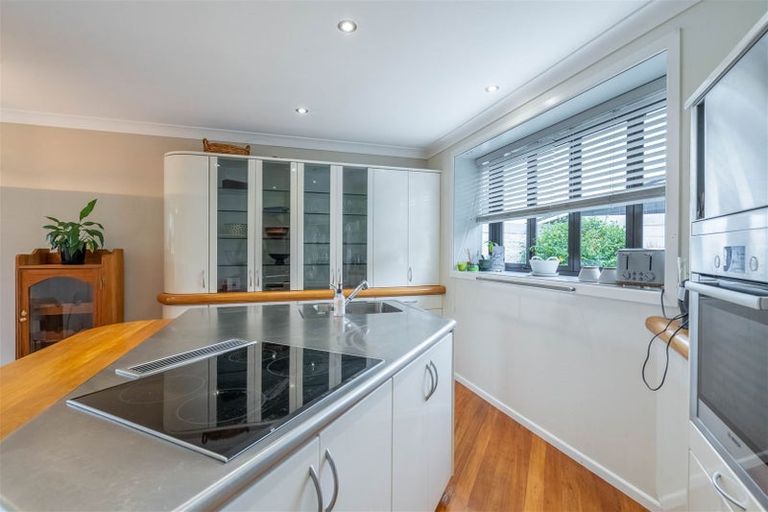 Photo of property in 5 Fern Street, Hargest, Invercargill, 9810