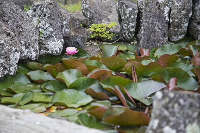 Photo of property in 30 Kotuku Road, Otaua, Waiuku, 2682